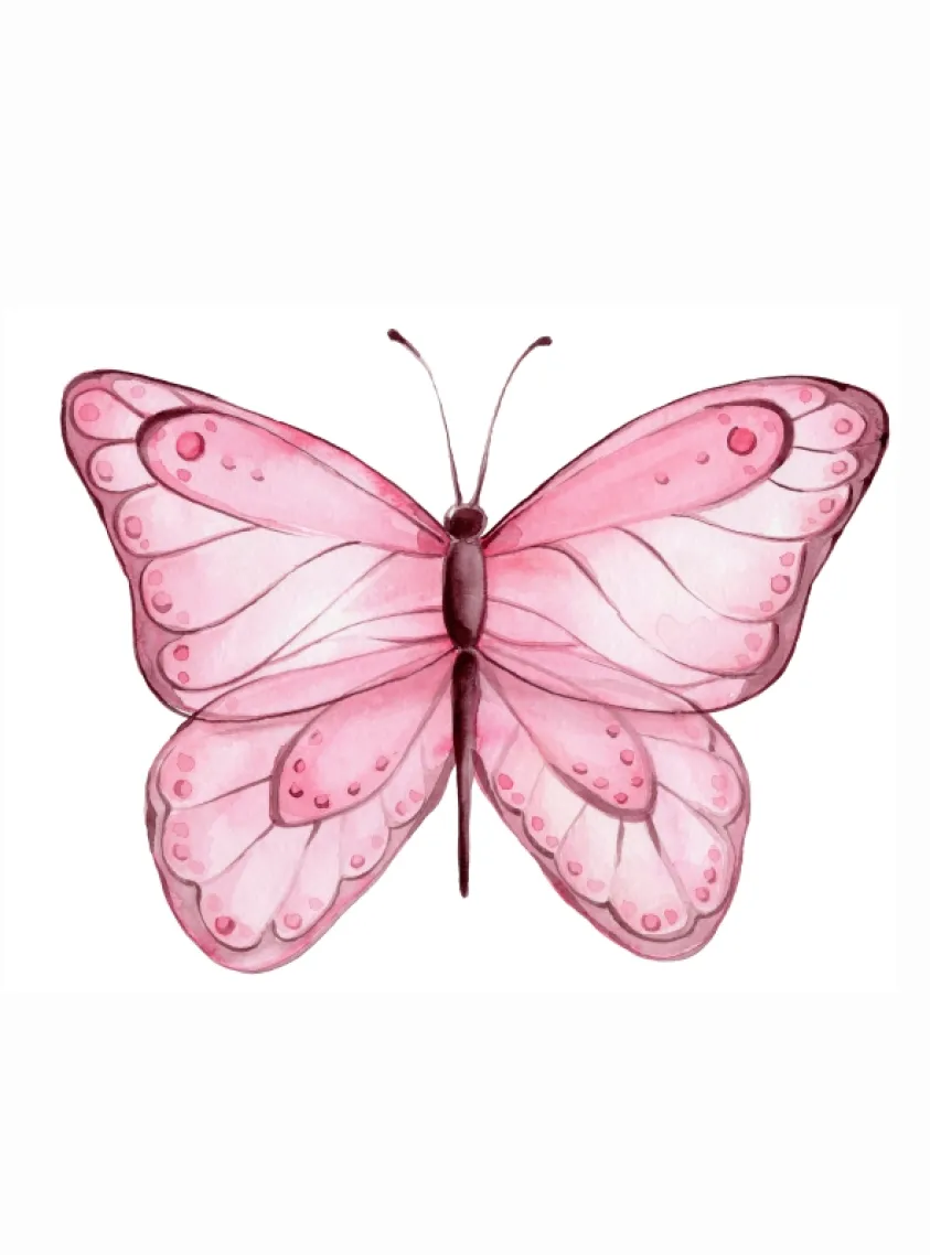 Quadro Borboleta 9019